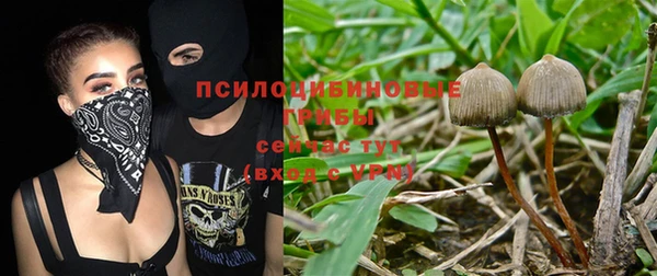 герыч Алексеевка