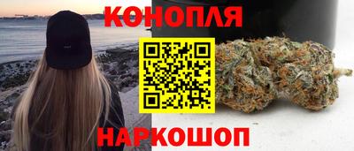 прущие грибы Краснокаменск