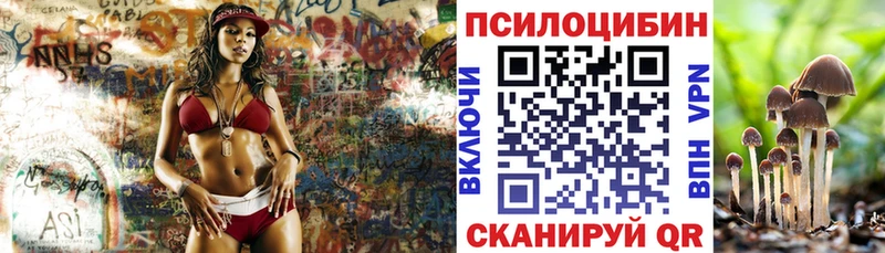 площадка какой сайт  закладка  blacksprut tor  Черемхово  Галлюциногенные грибы Cubensis 