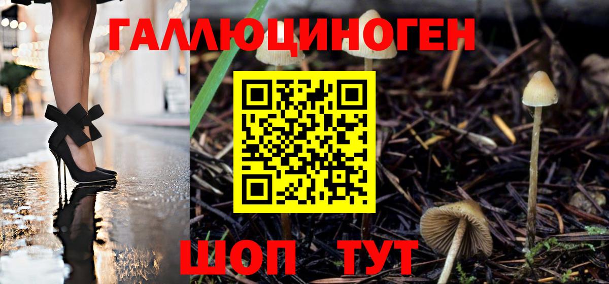 Галлюциногенные грибы GOLDEN TEACHER Черемхово