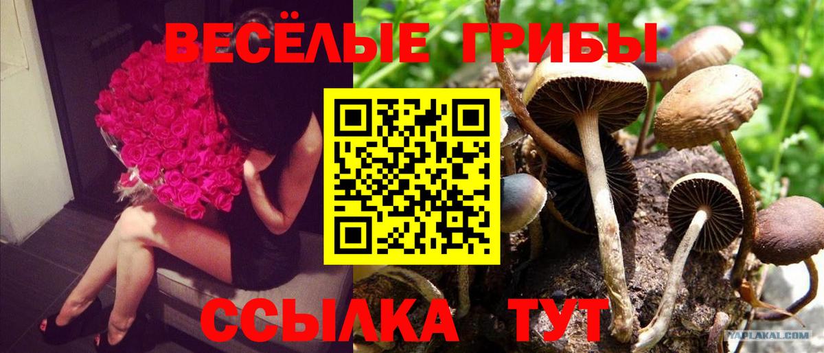 Псилоцибиновые грибы ЛСД  Вход с VPN  Черемхово 